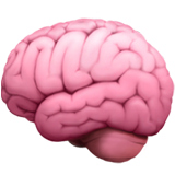 Brain Icon